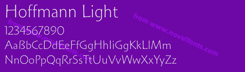 Hoffmann LightPreview Hoffmann LightPreview