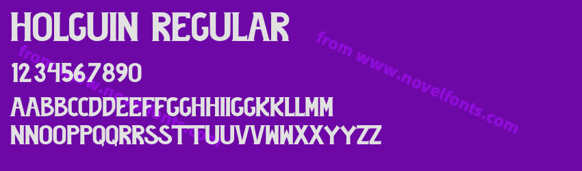 Holguin RegularPreview Holguin RegularPreview