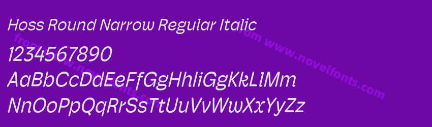 Hoss Round Narrow Regular ItalicPreview Hoss Round Narrow Regular ItalicPreview