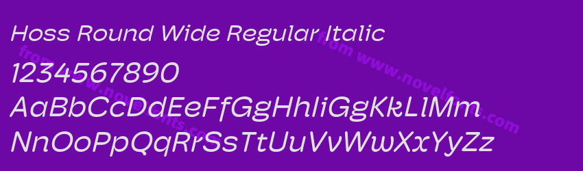 Hoss Round Wide Regular ItalicPreview Hoss Round Wide Regular ItalicPreview