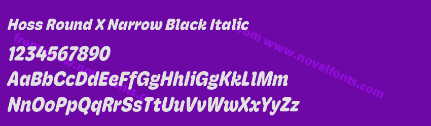 Hoss Round X Narrow Black ItalicPreview Hoss Round X Narrow Black ItalicPreview