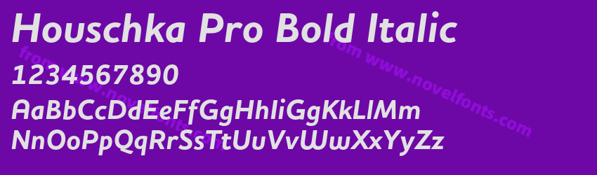 Houschka Pro Bold ItalicPreview Houschka Pro Bold ItalicPreview