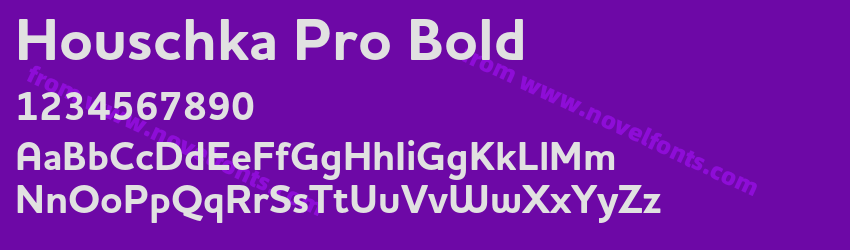 Houschka Pro BoldPreview Houschka Pro BoldPreview