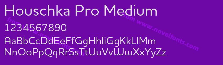 Houschka Pro MediumPreview Houschka Pro MediumPreview