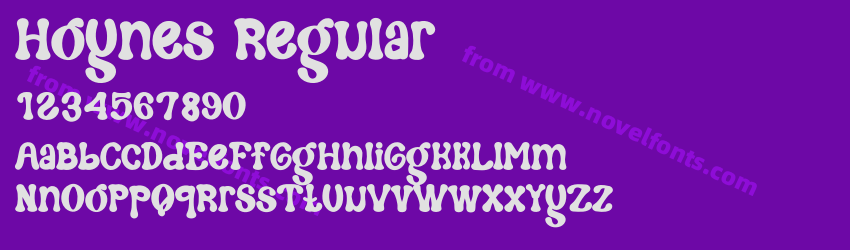 Hoynes RegularPreview Hoynes RegularPreview
