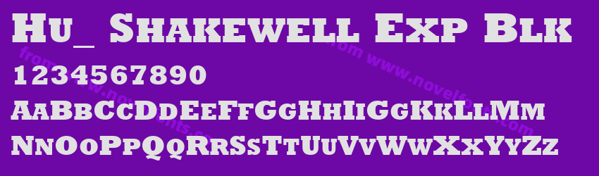 Hu_ Shakewell Exp BlkPreview Hu_ Shakewell Exp BlkPreview