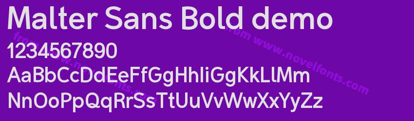 Malter Sans Bold demoPreview