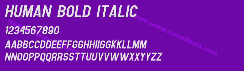 Human Bold ItalicPreview Human Bold ItalicPreview