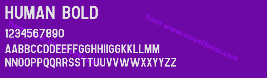 Human BoldPreview Human BoldPreview