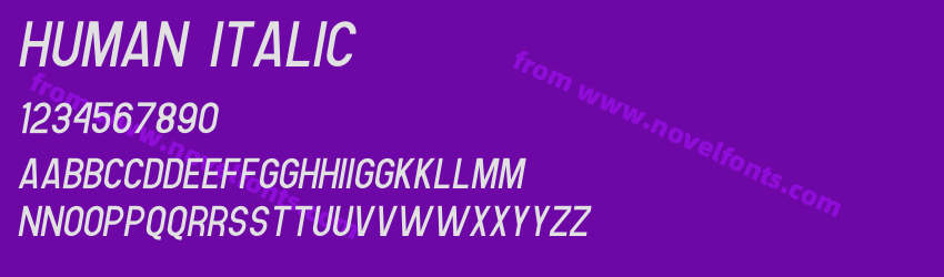 Human ItalicPreview Human ItalicPreview