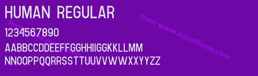 Human RegularPreview Human RegularPreview