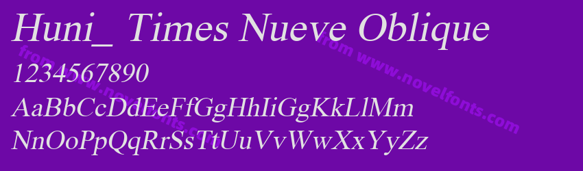 Huni_ Times Nueve ObliquePreview Huni_ Times Nueve ObliquePreview