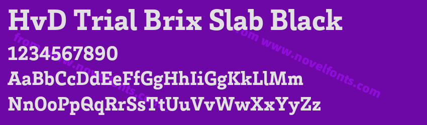 HvD Trial Brix Slab BlackPreview HvD Trial Brix Slab BlackPreview