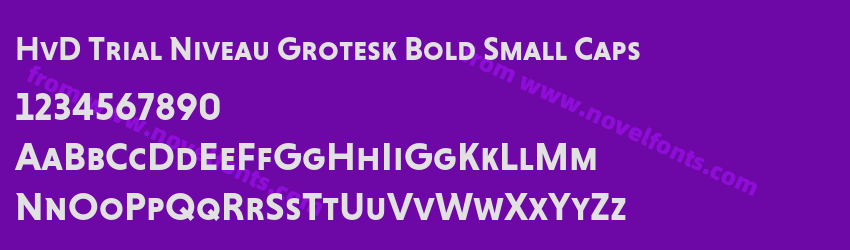 HvD Trial Niveau Grotesk Bold Small CapsPreview HvD Trial Niveau Grotesk Bold Small CapsPreview