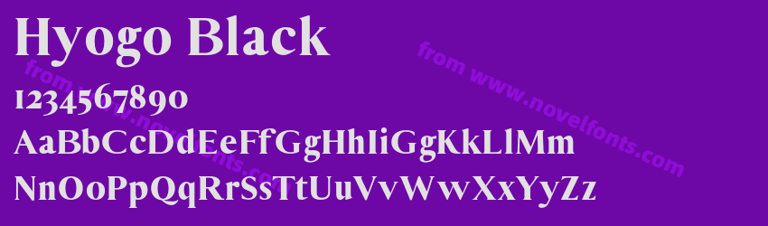 Hyogo BlackPreview Hyogo BlackPreview
