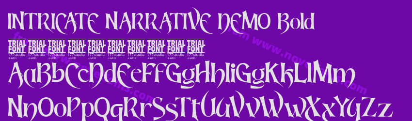 INTRICATE NARRATIVE DEMO BoldPreview INTRICATE NARRATIVE DEMO BoldPreview