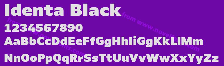 Identa BlackPreview Identa BlackPreview
