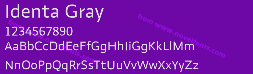 Identa GrayPreview Identa GrayPreview