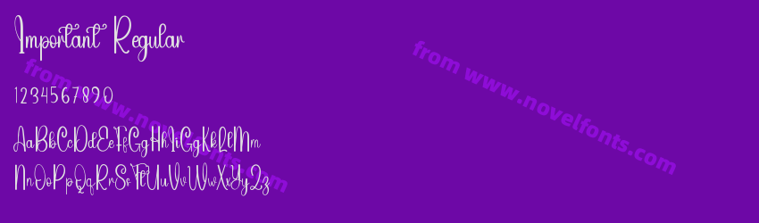 Important RegularPreview Important RegularPreview