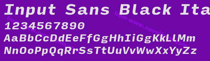 Input Sans Black ItalicPreview Input Sans Black ItalicPreview