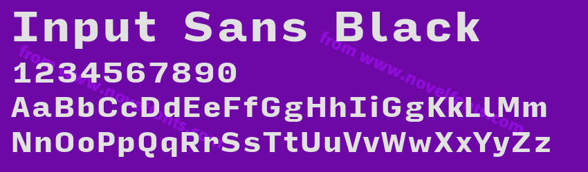 Input Sans BlackPreview Input Sans BlackPreview