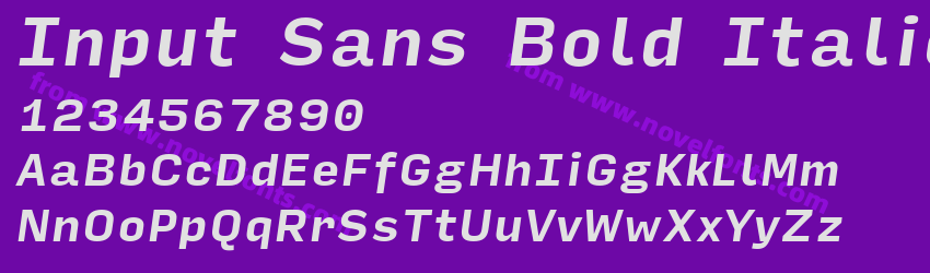 Input Sans Bold ItalicPreview Input Sans Bold ItalicPreview