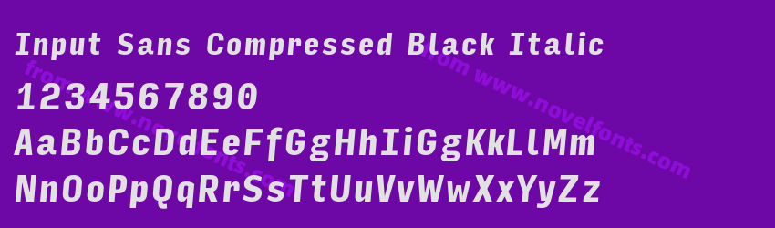 Input Sans Compressed Black ItalicPreview Input Sans Compressed Black ItalicPreview