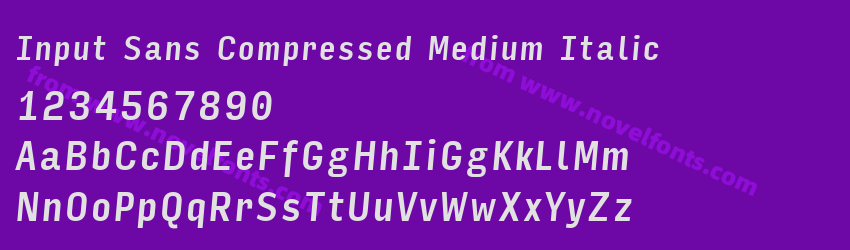 Input Sans Compressed Medium ItalicPreview Input Sans Compressed Medium ItalicPreview