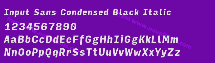 Input Sans Condensed Black ItalicPreview Input Sans Condensed Black ItalicPreview