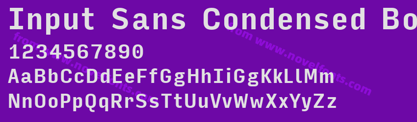 Input Sans Condensed BoldPreview Input Sans Condensed BoldPreview