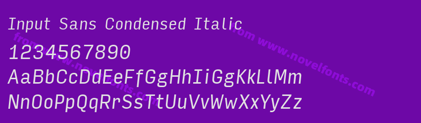 Input Sans Condensed ItalicPreview Input Sans Condensed ItalicPreview