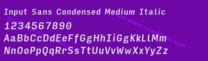 Input Sans Condensed Medium ItalicPreview Input Sans Condensed Medium ItalicPreview