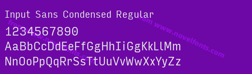 Input Sans Condensed RegularPreview Input Sans Condensed RegularPreview