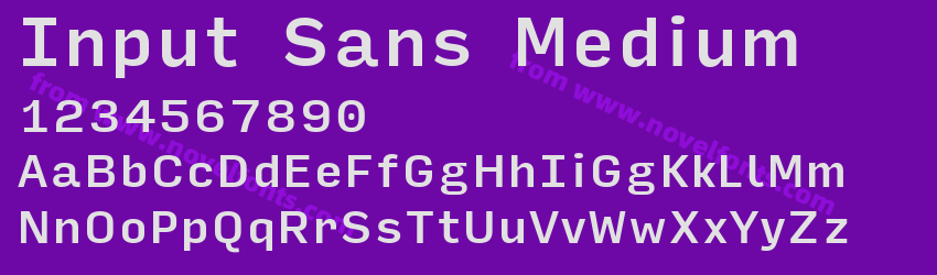 Input Sans MediumPreview Input Sans MediumPreview