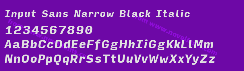 Input Sans Narrow Black ItalicPreview Input Sans Narrow Black ItalicPreview