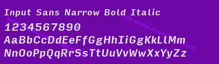 Input Sans Narrow Bold ItalicPreview Input Sans Narrow Bold ItalicPreview