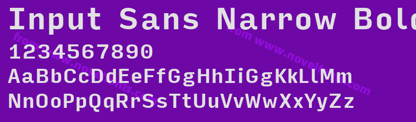 Input Sans Narrow BoldPreview Input Sans Narrow BoldPreview