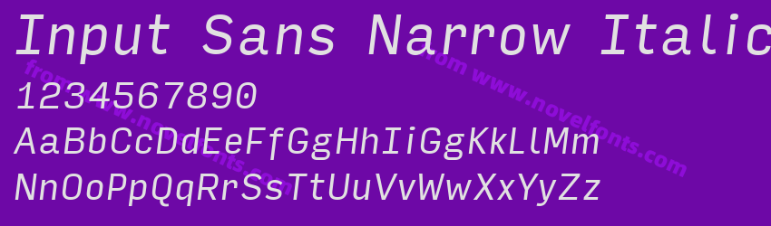 Input Sans Narrow ItalicPreview Input Sans Narrow ItalicPreview