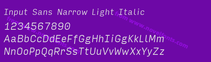 Input Sans Narrow Light ItalicPreview Input Sans Narrow Light ItalicPreview