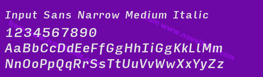 Input Sans Narrow Medium ItalicPreview Input Sans Narrow Medium ItalicPreview