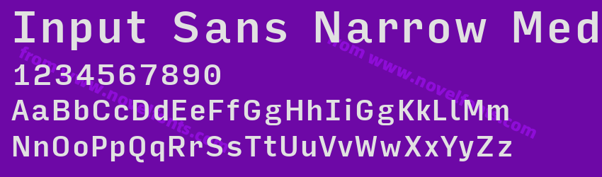 Input Sans Narrow MediumPreview Input Sans Narrow MediumPreview