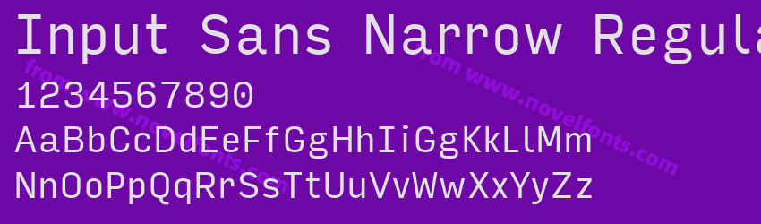 Input Sans Narrow RegularPreview Input Sans Narrow RegularPreview