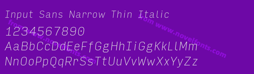 Input Sans Narrow Thin ItalicPreview Input Sans Narrow Thin ItalicPreview