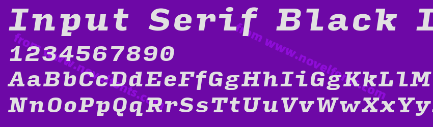 Input Serif Black ItalicPreview Input Serif Black ItalicPreview