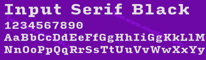 Input Serif BlackPreview Input Serif BlackPreview
