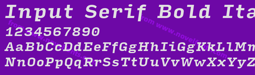 Input Serif Bold ItalicPreview Input Serif Bold ItalicPreview