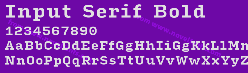 Input Serif BoldPreview Input Serif BoldPreview