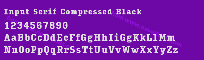 Input Serif Compressed BlackPreview Input Serif Compressed BlackPreview