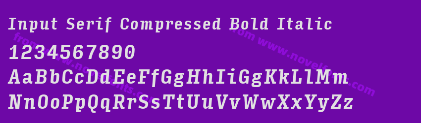 Input Serif Compressed Bold ItalicPreview Input Serif Compressed Bold ItalicPreview