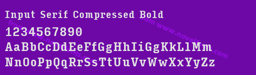 Input Serif Compressed BoldPreview Input Serif Compressed BoldPreview